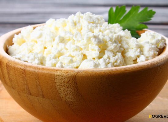 Can Dogs Have Cottage Cheese A Brief Nutritional Guide