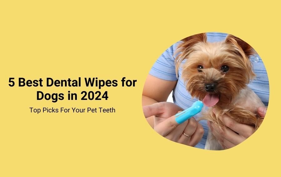 5 Best Dental Wipes for Dogs in 2024 - Top Picks For Your Pet Teeth