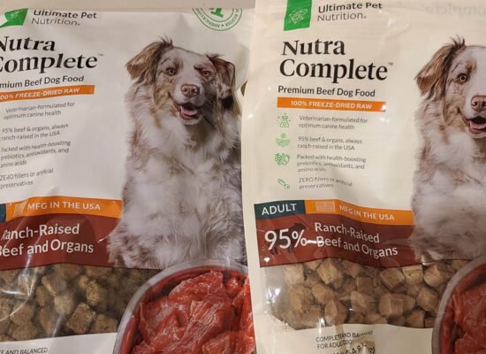 Nutra Complete Dog Food Best Raw Meat Recipes for Your Pup