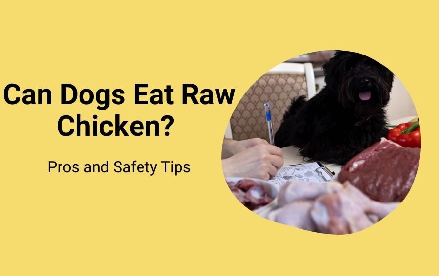 Can Dogs Eat Raw Chicken Pros and Safety Tips