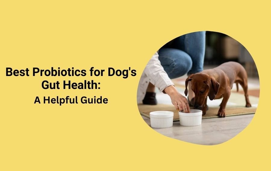 Best Probiotics for Dog's Gut Health A Helpful Guide